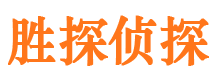 麻山侦探调查公司